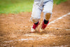 For the Love of the Game