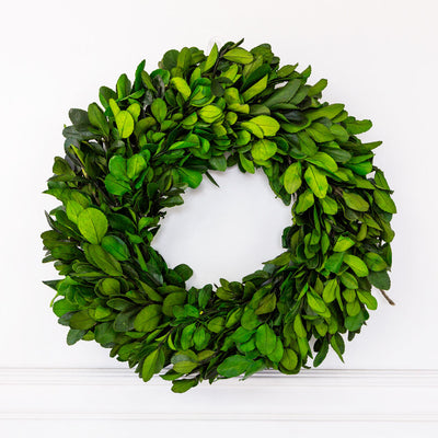 Pressed Boxwood Wreath