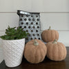 orange wool pumpkins
