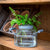 mason jar flower holder
